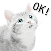 Lovely cat sticker!