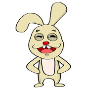 Idiot rabbit