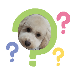 Junko_20200612171345