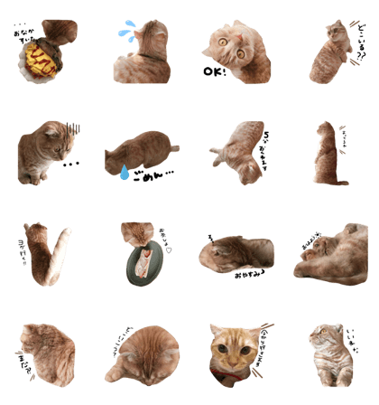 Line クリエイターズスタンプ こむぎ くん 2