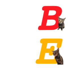 A cat name Kuanloung with A B C