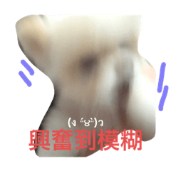 熊的可愛十八變