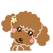 I love poodle. Merry Christmas!!