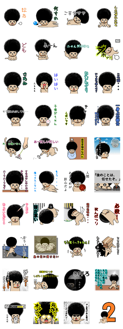 The Seven Afro Cats #2  -Indecisive cat-