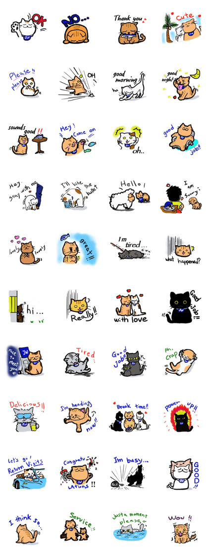 JW CAT english version