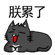 cats general live-black tiger