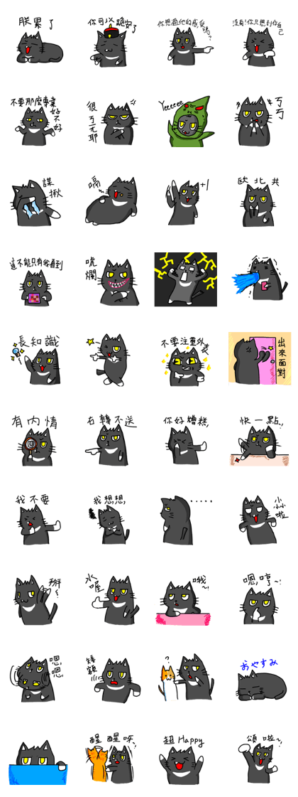cats general live-black tiger