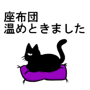 black cat Dandy