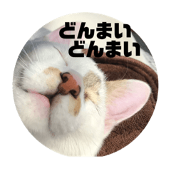 hanamama_20200612214653