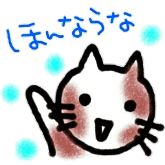 okayama-ben cat