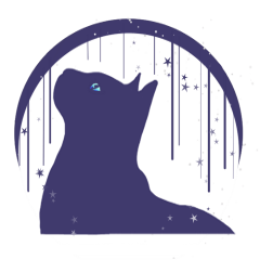 moon and cat