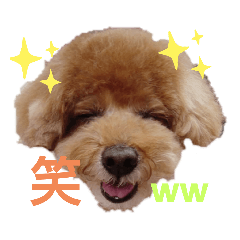 yuto_20200612204825