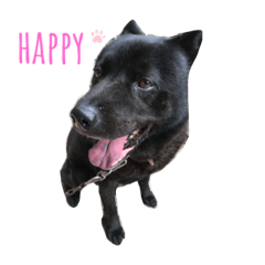 gonchan message sticker1