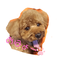 Suzu_20200612233556