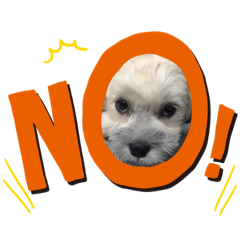 marina_20200613002849