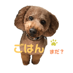 mokomokomoko20200613003535