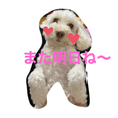 eririn_20200613021020