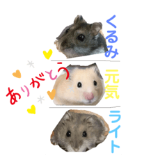 kurumi_20200613105842