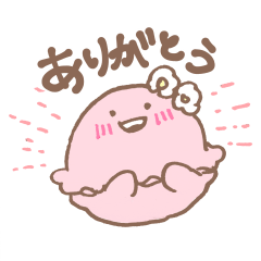 macaron family