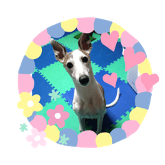 sally_20200613104416