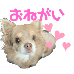 chibi_20200612201656
