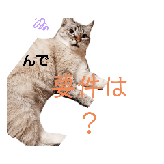 junko_20200612213959