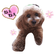 happy_20200613131044