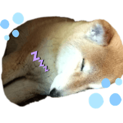 ryudgdgdgdgdgdgdgdgd