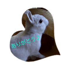Rei_20200613143222
