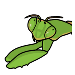 カマキリの日常 Line スタンプ Line Store カマキリの日常 Line スタンプ Line Store