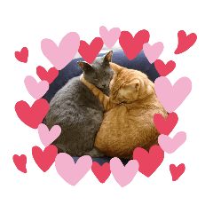 JUNKO_20200613160809