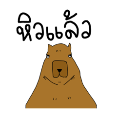 Capybara Daily Mood