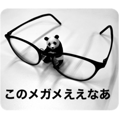 Kansai Glasses Panda