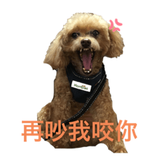 我們這一家的日常生活與恩語的生活