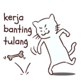Meong indonesian cat