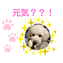 nanami_20200613190047