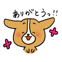 Daily Corgi soybean flour