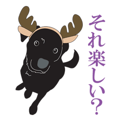 藤代さんちのやんちゃ犬アポロ Line スタンプ Line Store