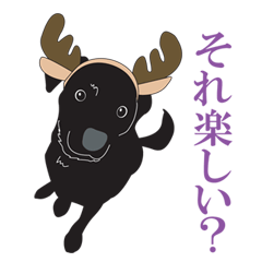 Fujishiro's dog Apollo
