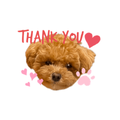 akipome_202006132329101122