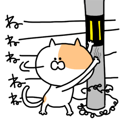 Fukushima cat 4