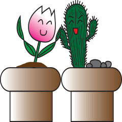 Tulip and Cactus