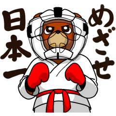 A little Karate fighter,Bear's Akkun