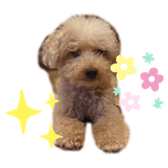 fujimura8125812581258125