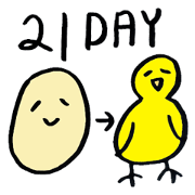 egg->chicken