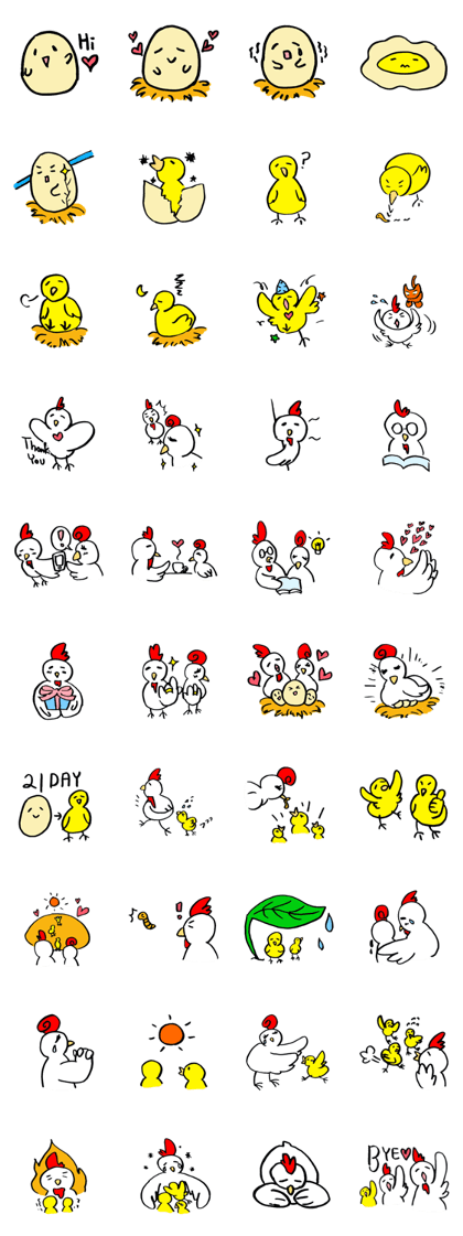 egg->chicken