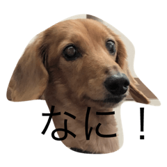 Hiroki_20200614095526