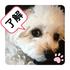 haruna_20200613192741