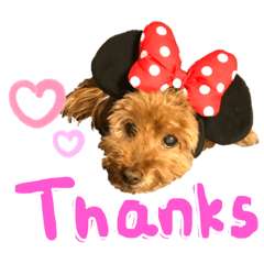 saori_20200613182059