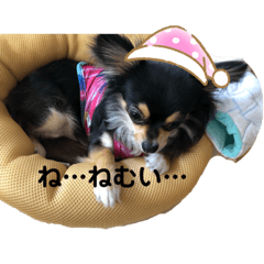 Junko_20200613224938